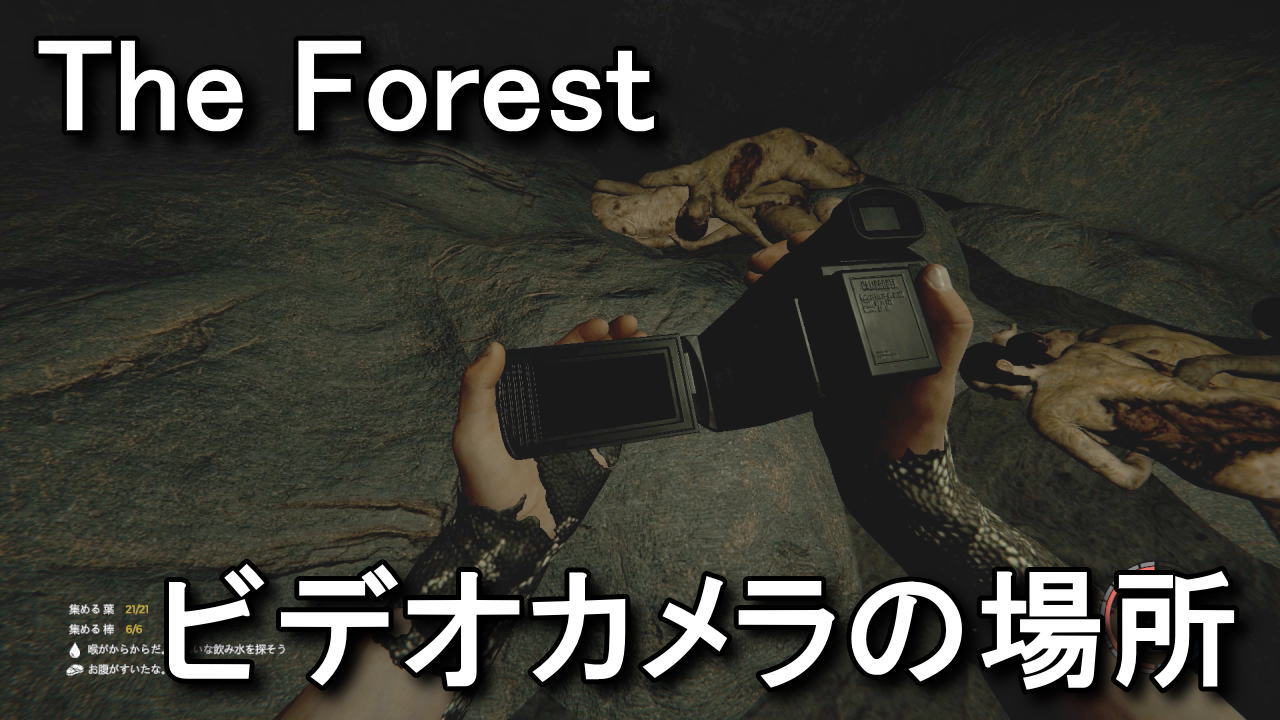 The Forest ビデオカメラの位置とテープの内容 Raison Detre ゲームやスマホの情報サイト