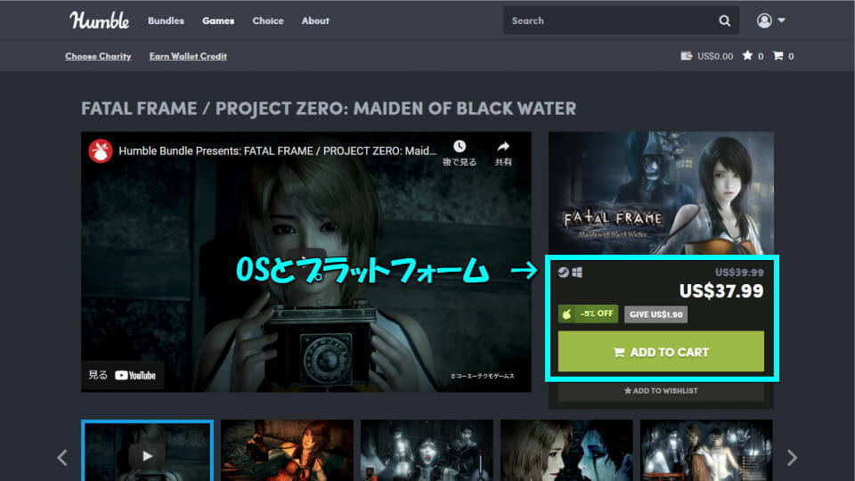 fatal-frame-project-zero-buy-guide-2
