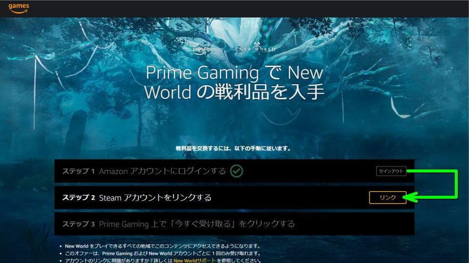 new-world-prime-gaming-premium-contents-4
