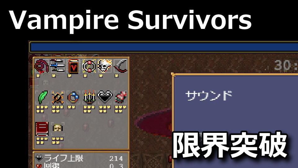 vampire-survivors-item-14-slots