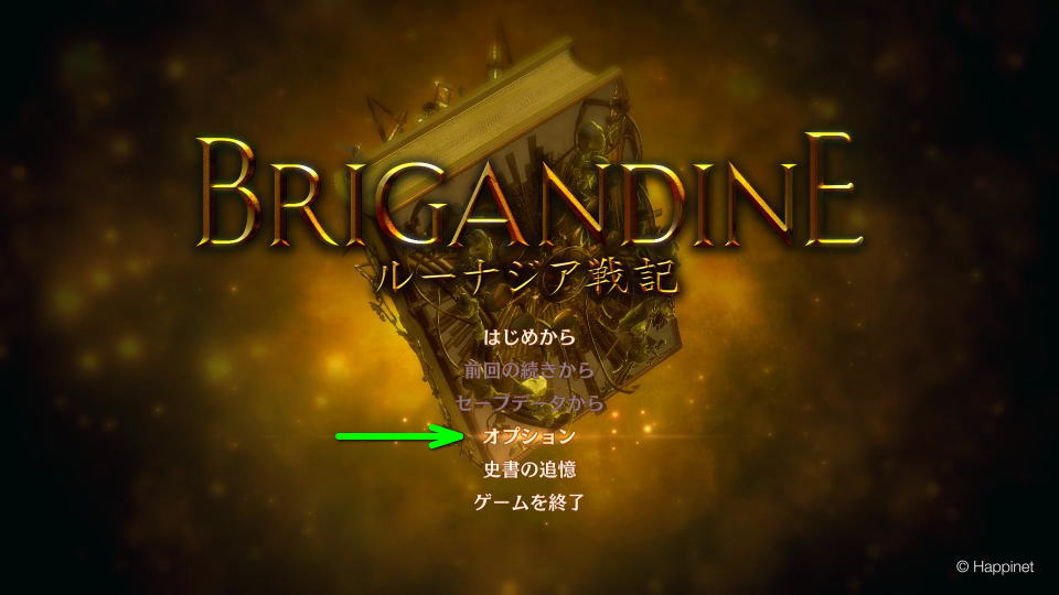 brigandine-the-legend-of-runersia-options