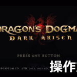 dragons dogma dark arisen keyboard controller setting