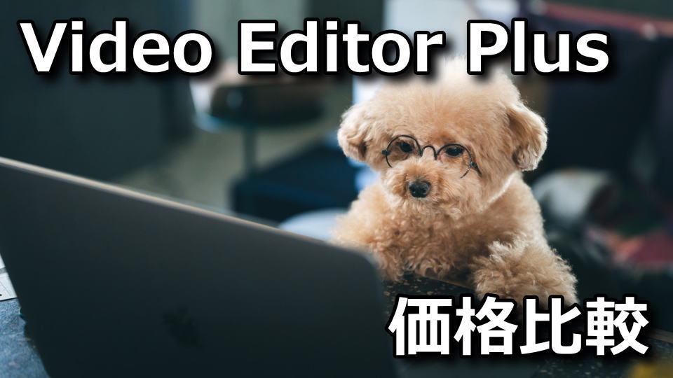 movavi-video-editor-plus-2021-kakaku-hikaku-tigai