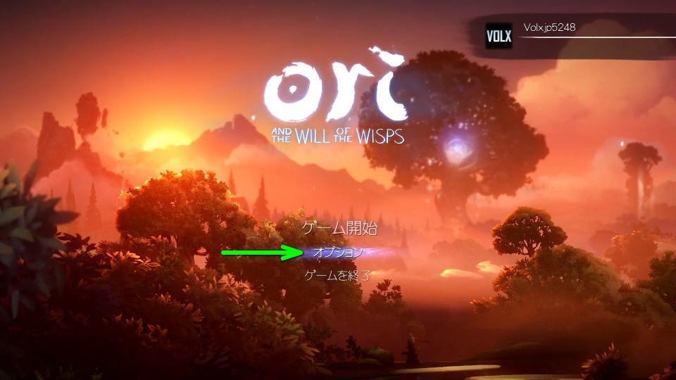 ori-and-the-will-of-the-wisps-options