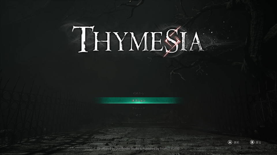 thymesia-control-setting