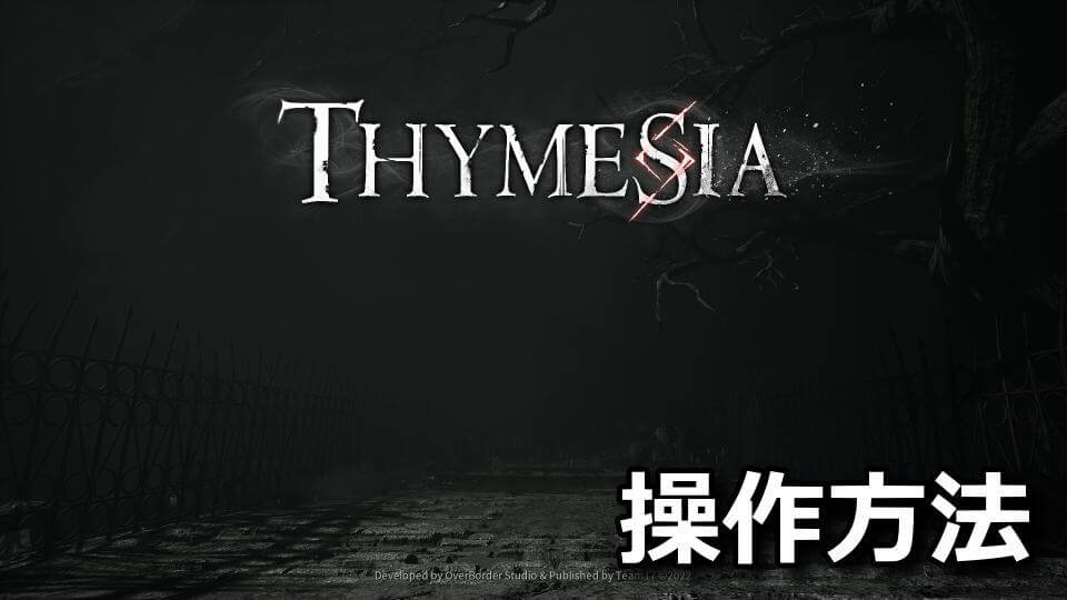 thymesia-keyboard-controller-setting