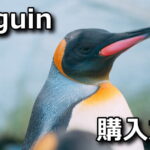 kinguin buy guide