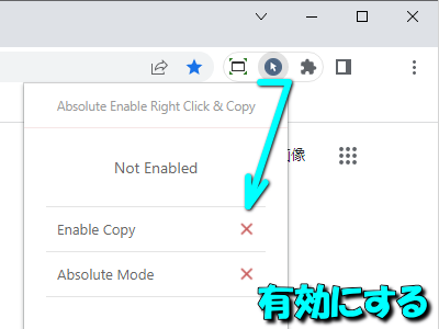 chrome-right-click-enable-plugin-5