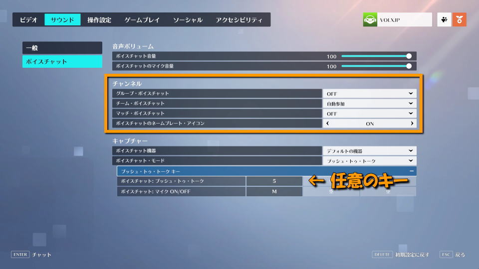 overwatch-2-change-settings-voice-2