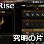 mhrise-event-quest-13-150x150