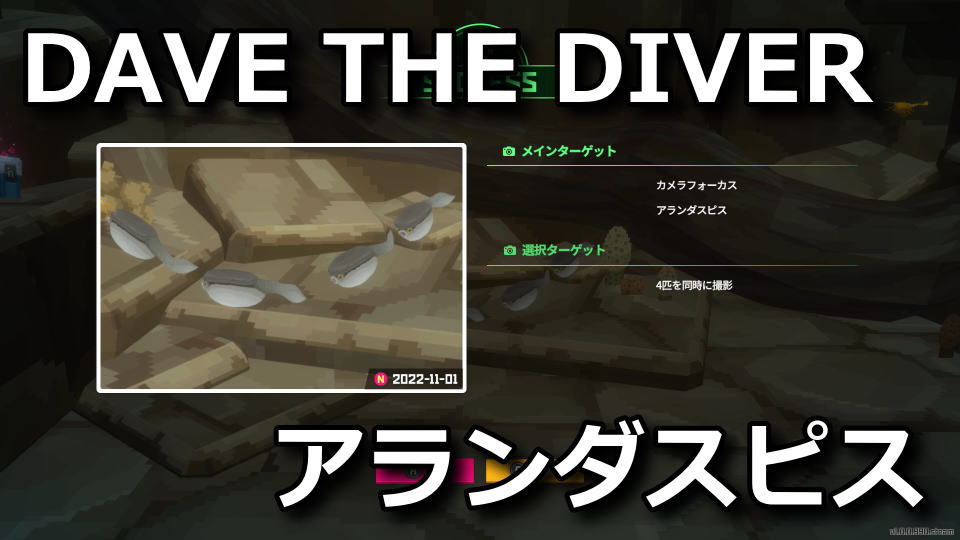 DAVE THE DIVER：第3の制御スイッチの場所
