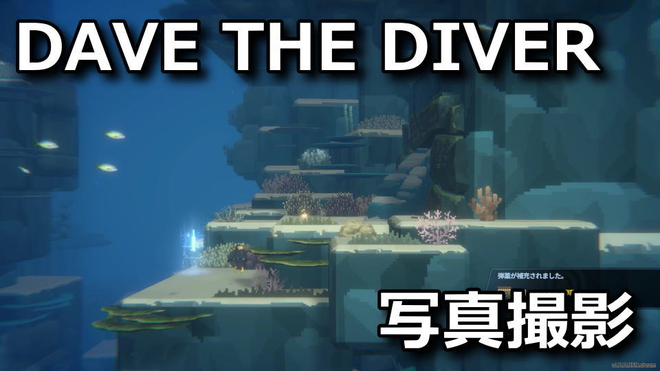 dave-the-diver-take-a-picture