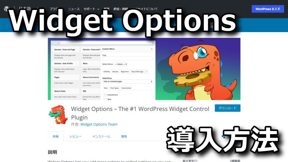 wordpress-plugins-widget-options