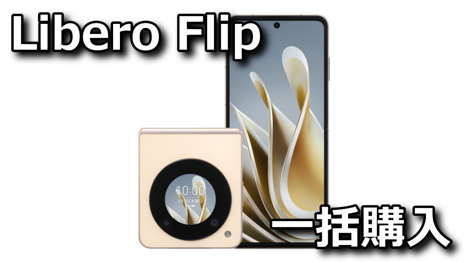 Libero Flipを一括9,800円で買う方法