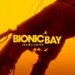 bionic bay kakaku hikaku tigai