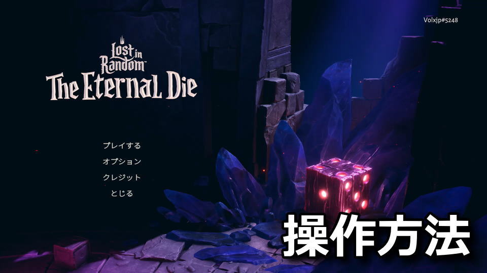 Lost in Random The Eternal Die：キーボードとコントローラー設定
