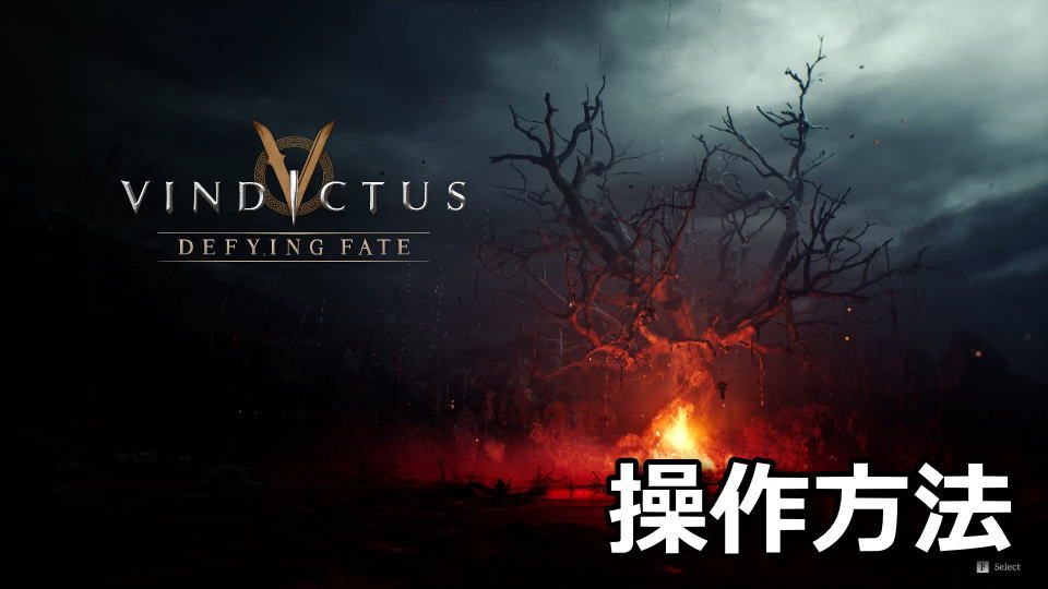 Vindictus Defying Fate：キーボードとコントローラー設定
