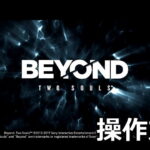 beyond two souls keyboard controller setting