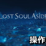 lost soul aside keyboard controller setting