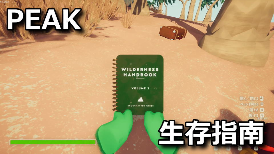 PEAK：ガイドブックの使い方