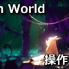 rain world keyboard controller setting