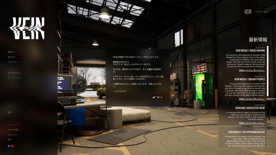 VEINを日本語する方法