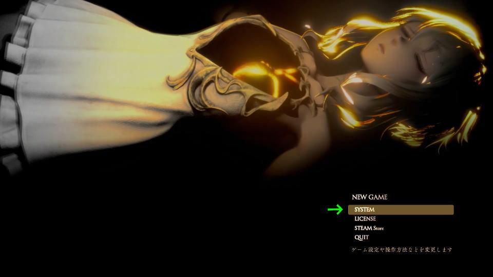 CODE VEIN IIの操作を確認する方法