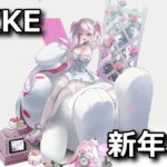 nikke 2025 2026 winter skin