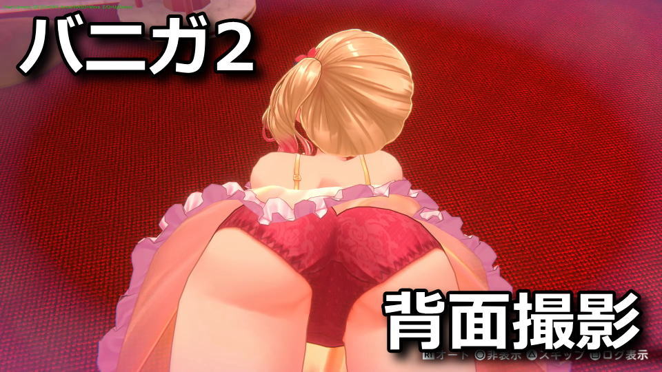 バニーガーデン2を後ろから撮影する方法