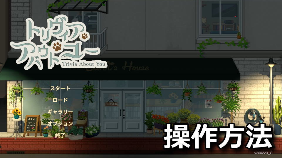 トリヴィア・アバウト・ユーの操作方法