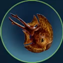 s subnautica 2 item icon 21