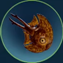 s subnautica 2 item icon 23