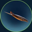 s subnautica 2 item icon 29