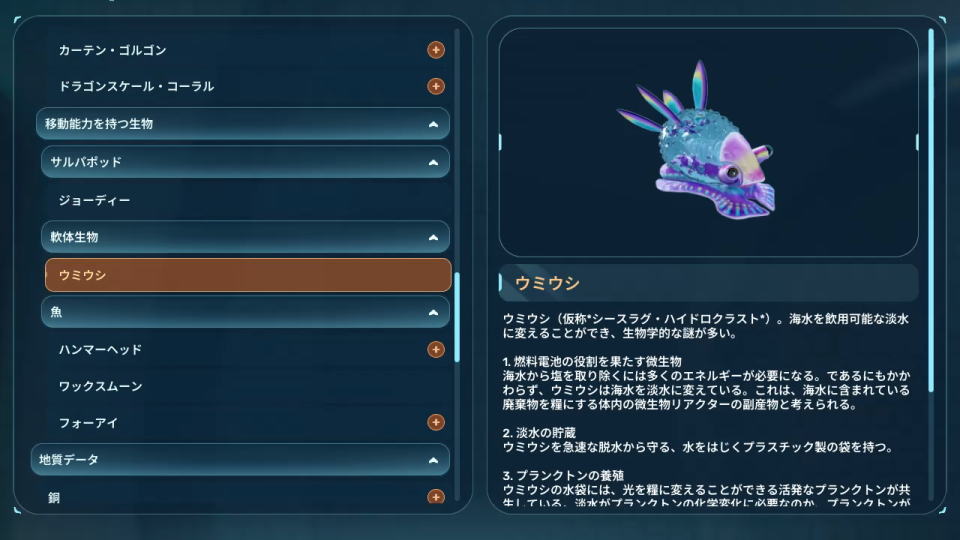 ウミウシの解説