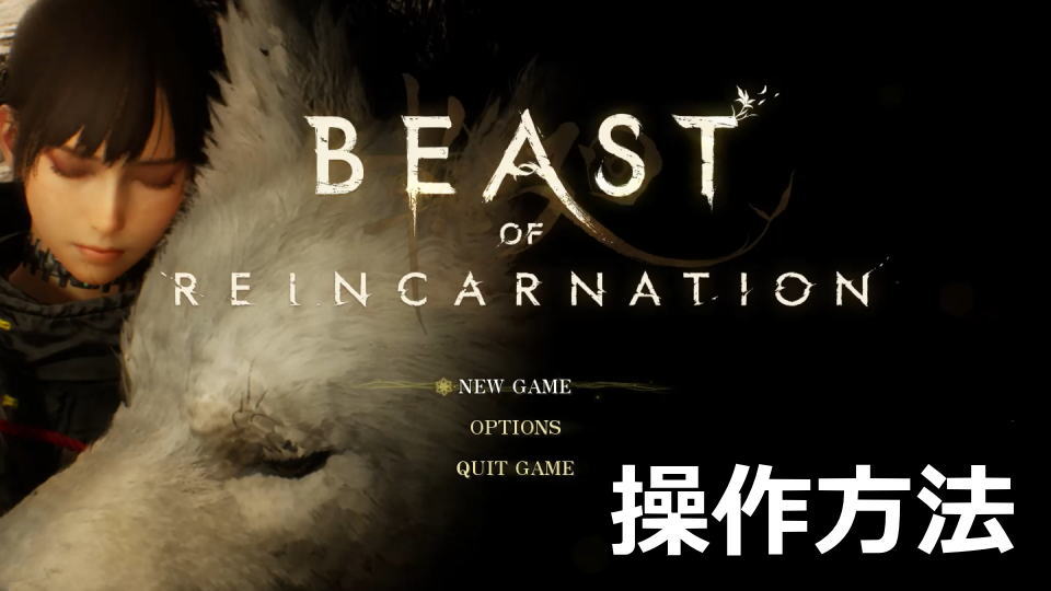 Beast of Reincarnationの操作方法